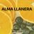 Cover art for Alma Llanera - Alfredo Sadel karaoke version