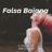 Cover art for Falsa Baiana - João Gilberto karaoke version