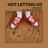 Cover art for Not Letting Go - Jess Glynne, Tinie Tempah karaoke version