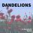 Cover art for Dandelions - Ruth B karaoke version