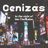 Cover art for Cenizas - Los Terricolas karaoke version