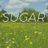 Cover art for Sugar - Maroon 5 karaoke version