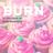 Cover art for Burn - Ellie Goulding karaoke version
