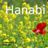 Cover art for Hanabi - Aiko (柳井愛子) karaoke version