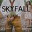 Cover art for Skyfall - Adele karaoke version