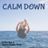 Cover art for Calm Down - Selena Gomez, Rema karaoke version