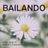 Cover art for Bailando - Alaska Y Dinarama karaoke version