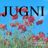 Cover art for Jugni - Amit Trivedi karaoke version