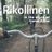 Cover art for Rikollinen - Vilma Alina karaoke version