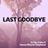 Cover art for Last Goodbye - Kenny Wayne Shepherd karaoke version