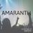 Karaokekappaleen Amaranth - Nightwish kansikuva