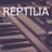 Cover art for Reptilia - The Strokes karaoke version