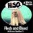 Cover art for Flesh and Blood - Marko Hietala, HiSQ karaoke version