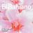Cover art for El Bahiano - Soledad karaoke version