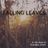Cover art for Falling Leaves - Grandpa Jones karaoke version