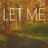 Cover art for Let Me - Pat Green karaoke version