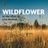 Cover art for Wildflower - Lisa Brokop karaoke version