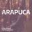 Cover art for Arapuca - Trio Parada Dura karaoke version