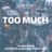 Cover art for Too Much - The Kid Laroi, Jung Kook, Central Cee karaoke version