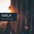 Cover art for Naila - Grupo La Amistad karaoke version