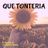 Cover art for Que Tonteria - La Septima Banda karaoke version