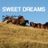 Cover art for Sweet Dreams - Patsy Cline karaoke version