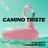 Cover art for Camino Triste - CARLOS DEL LLANO karaoke version