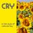 Cover art for Cry - Johnnie Ray karaoke version