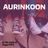 Cover art for Aurinkoon - Hugo (FIN) karaoke version