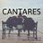 Cover art for Cantares - Joan Manuel Serrat karaoke version