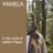 Cover art for Pamela - Jaakko Teppo karaoke version