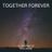 Omslagsbild för Together Forever - Rick Astley karaokeversion