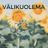 Cover art for Välikuolema - Käärijä karaoke version