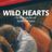 Cover art for Wild Hearts - Keith Urban karaoke version