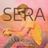 Cover art for Sera - Ricardo Montaner karaoke version