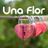 Cover art for Una Flor - Juanes karaoke version