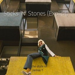 Sticks 'N' Stones (Explicit)