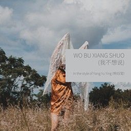 Wo Bu Xiang Shuo (我不想说)