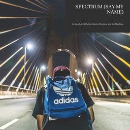 Spectrum (Say My Name)