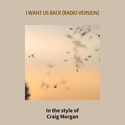 I Want Us Back (Radio Version)