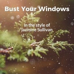 Bust Your Windows