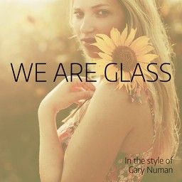 We Are Glass