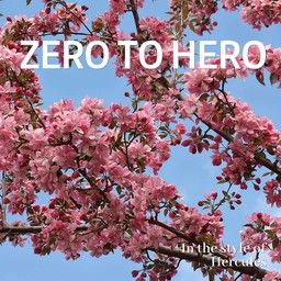 Zero To Hero