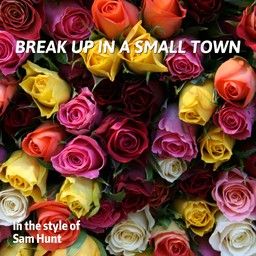 Break Up In a Small Town