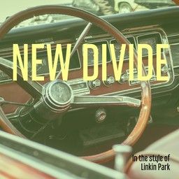 New Divide