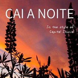 Cai A Noite