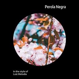 Perola Negra