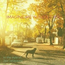 Imagine Me Without You