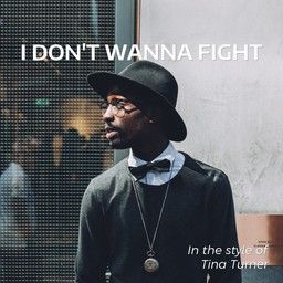 I Don't Wanna Fight