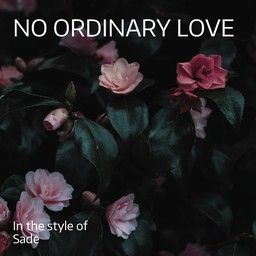 No Ordinary Love